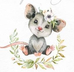 Sweet Possum Herbals