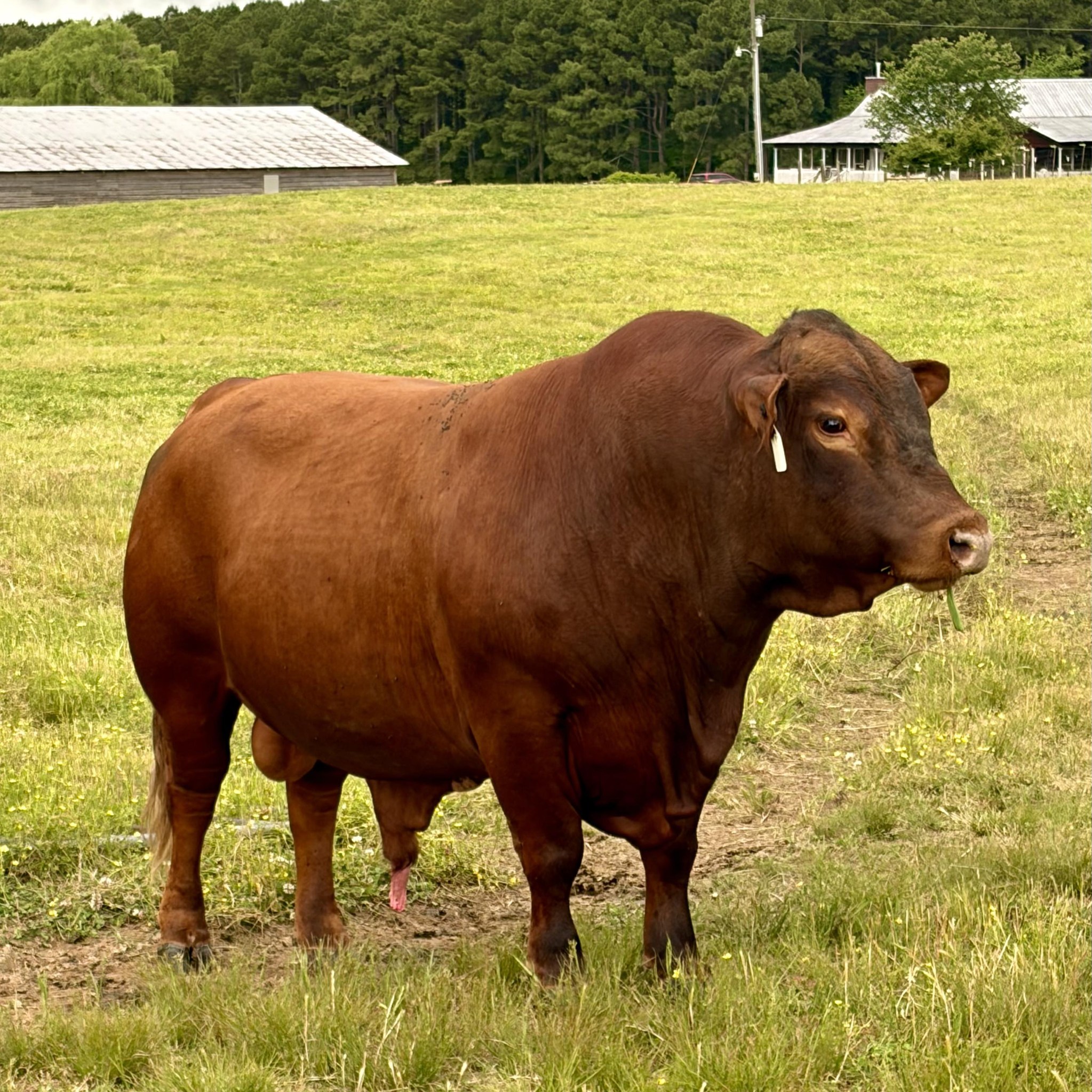 Sumners Farm