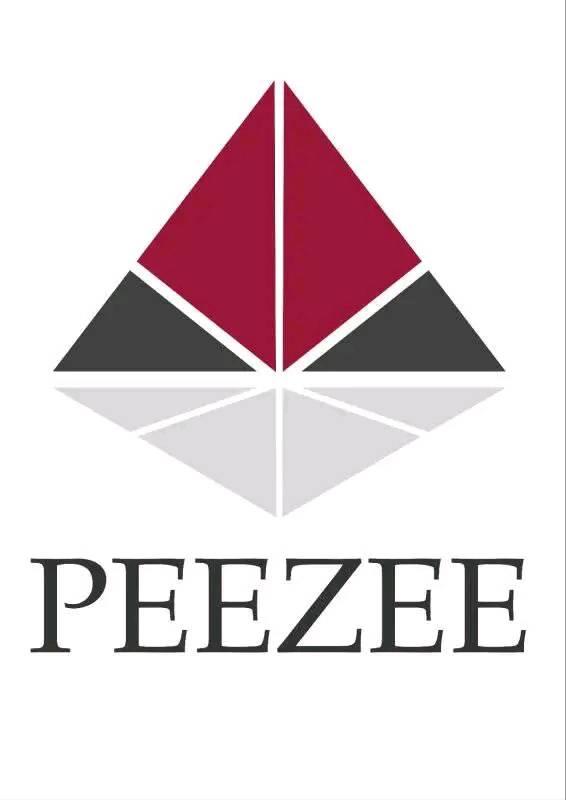 Peezee Finance | Queenstown