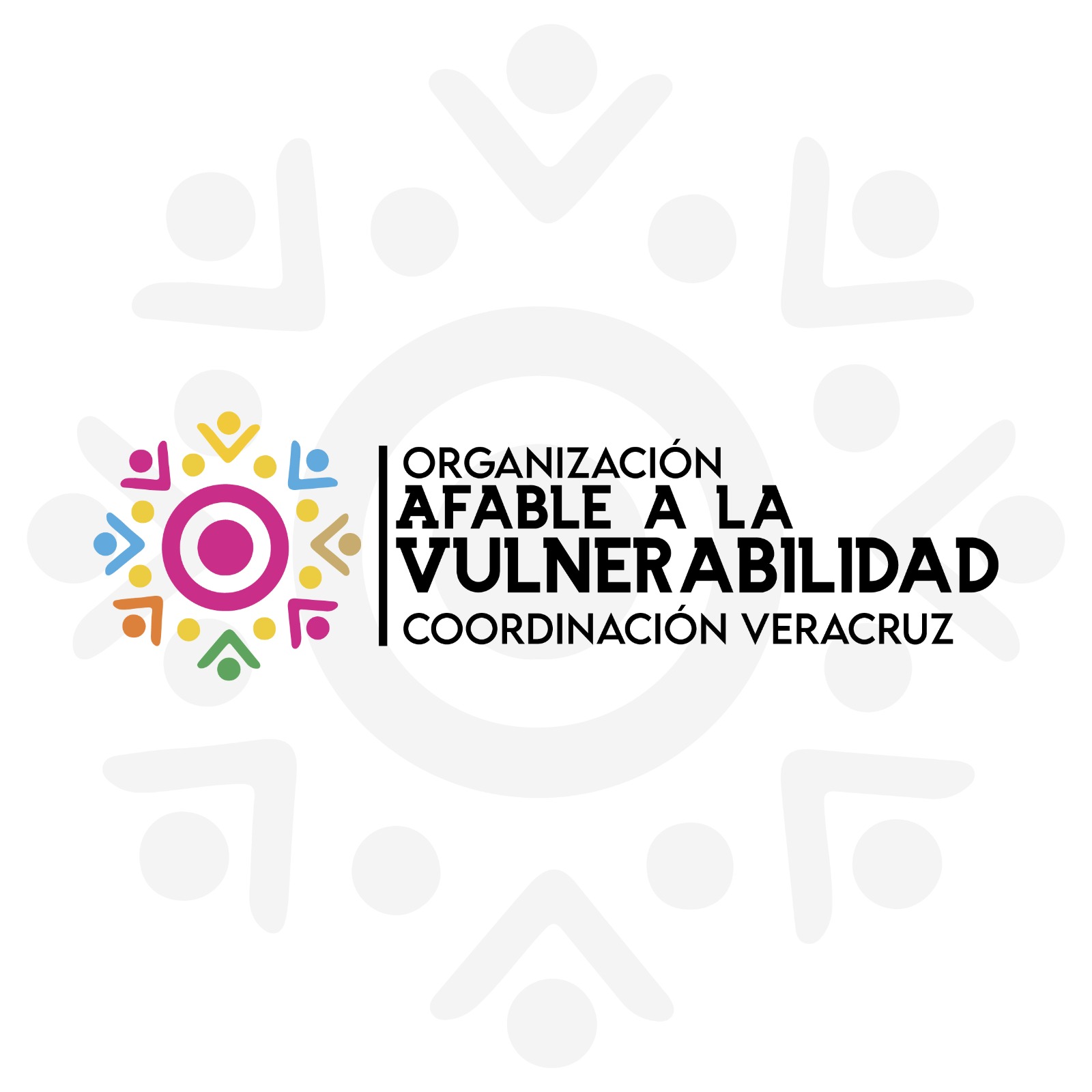Organización Afable a la Vulnerabilidad | Xalapa