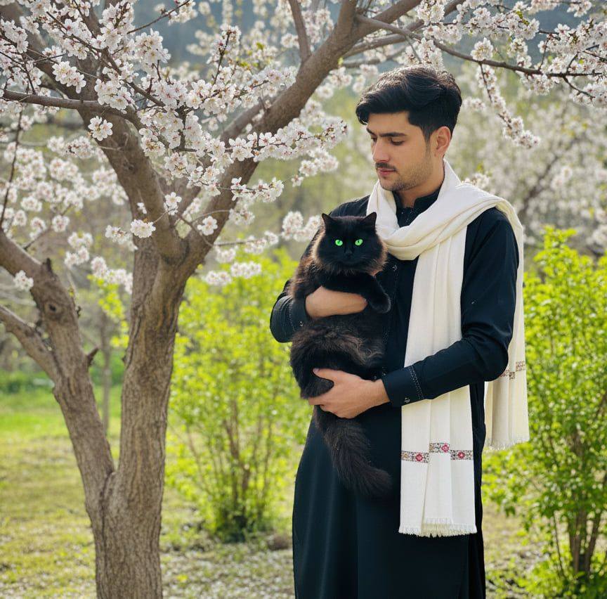 ajmal-khan