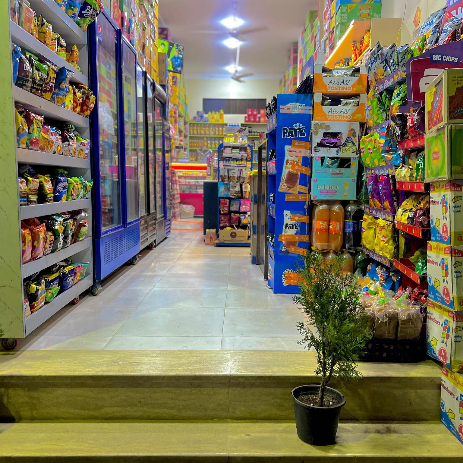 wael-market-mit-ghamr