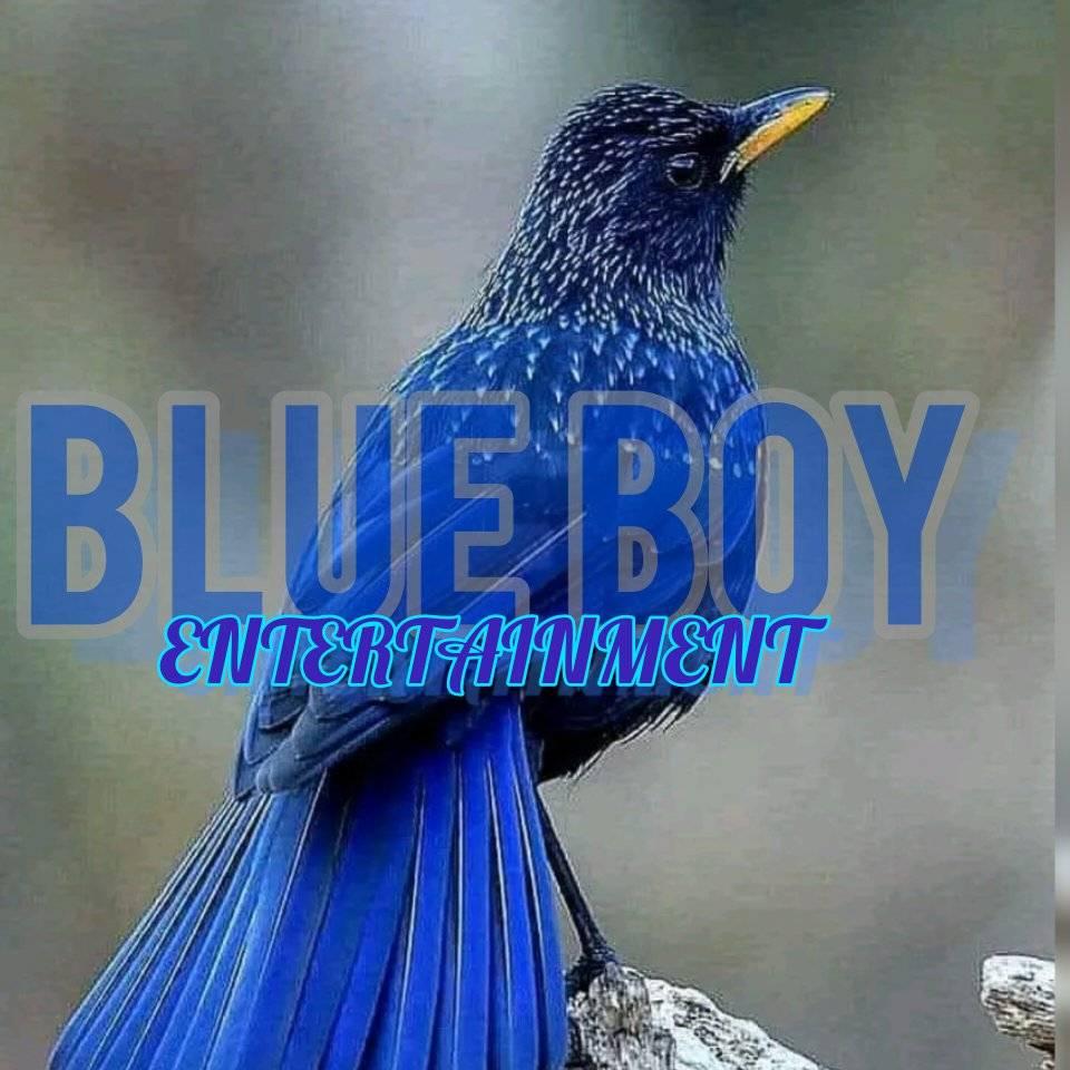 BLUE BOY ent