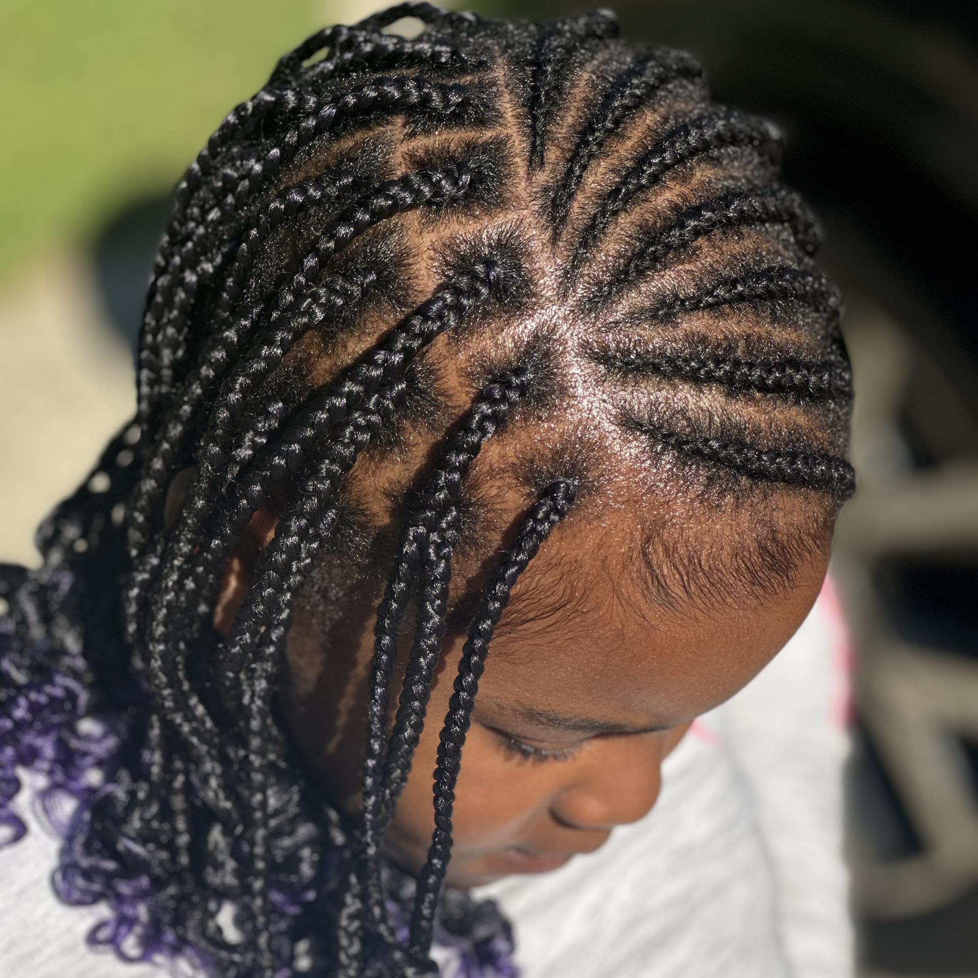 Dassi Braiding Hair Plus