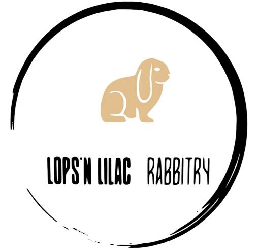 Manitoba Rabbits 🇨🇦🐰 | 🌟🌟 Manitoba Bunny Directory | Facebook
