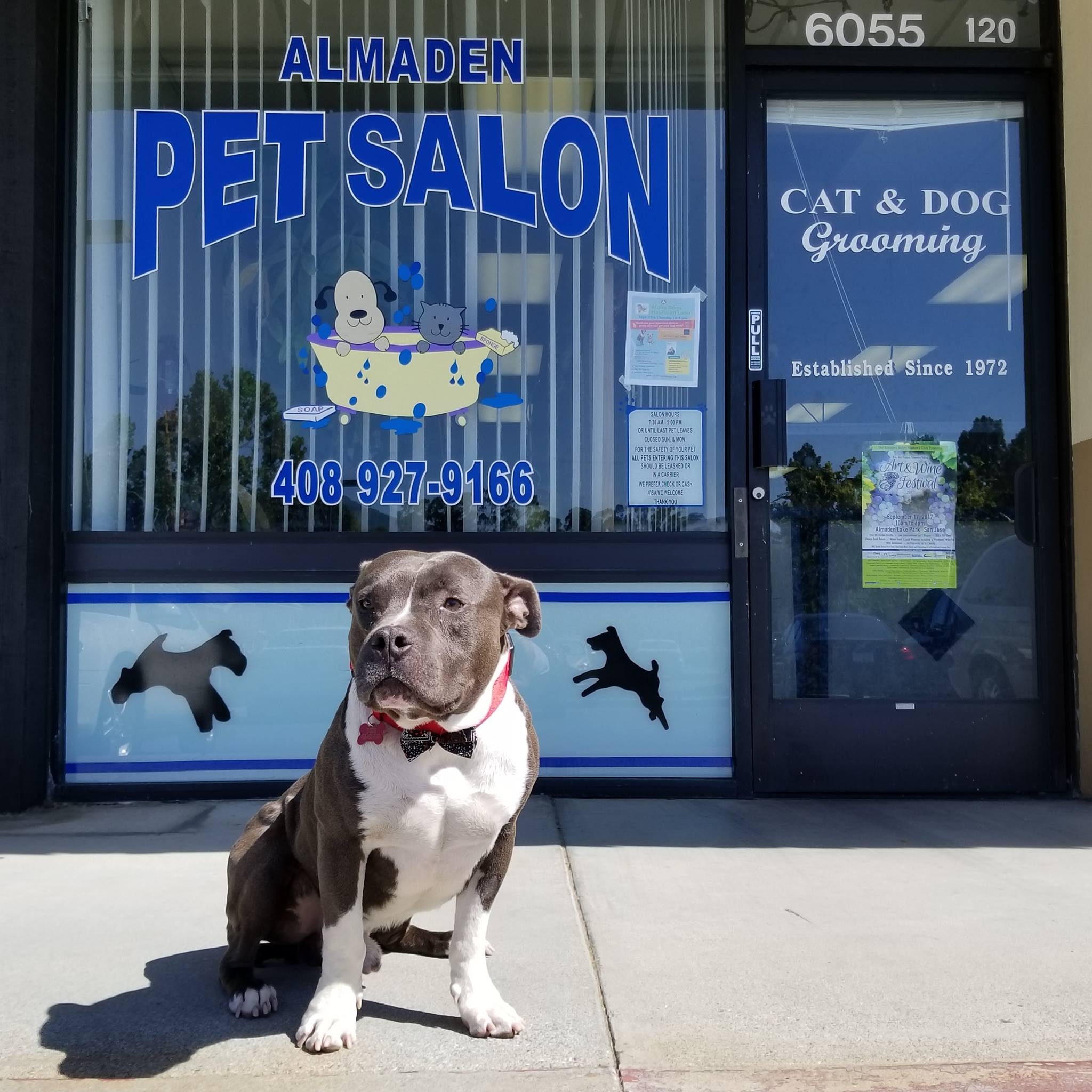 Image showcasing Almaden Pet Salon | San Jose CA