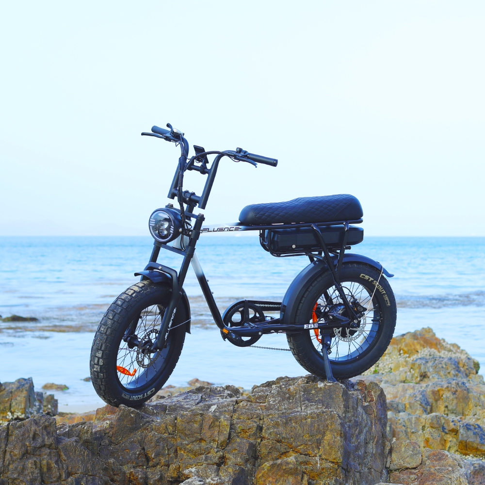 7GO Electric Fatbike | Shenzhen