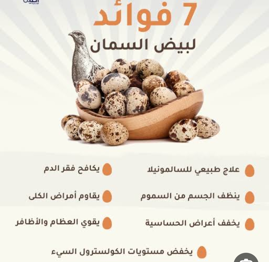 kafr-al-dawar