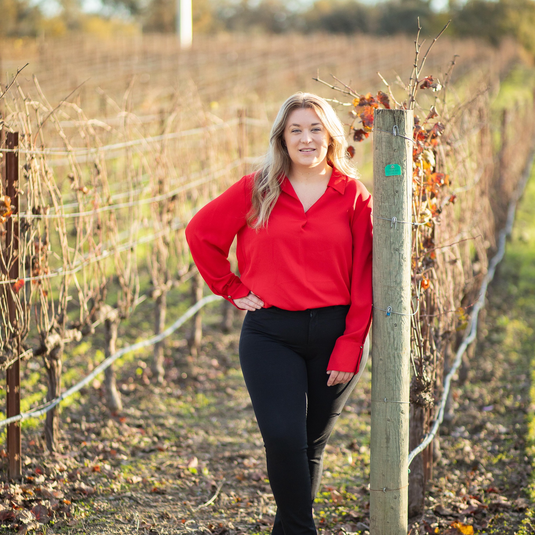 Premier Wine Compliance