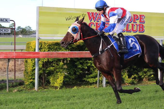 Wauchope Jockey Club | Wauchope NSW