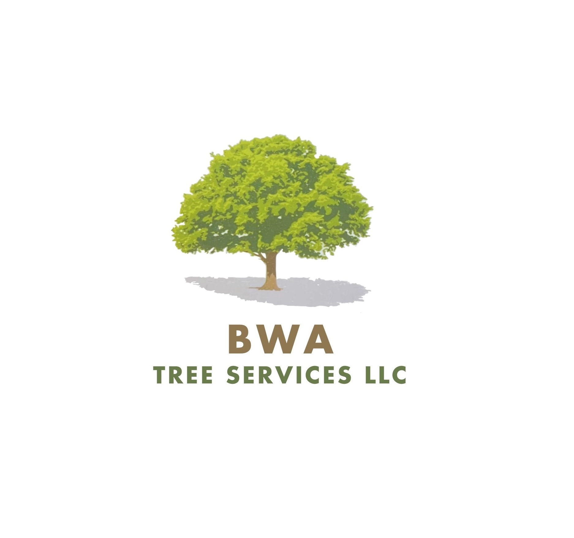 BWA Tree Services LLC | Kenly NC