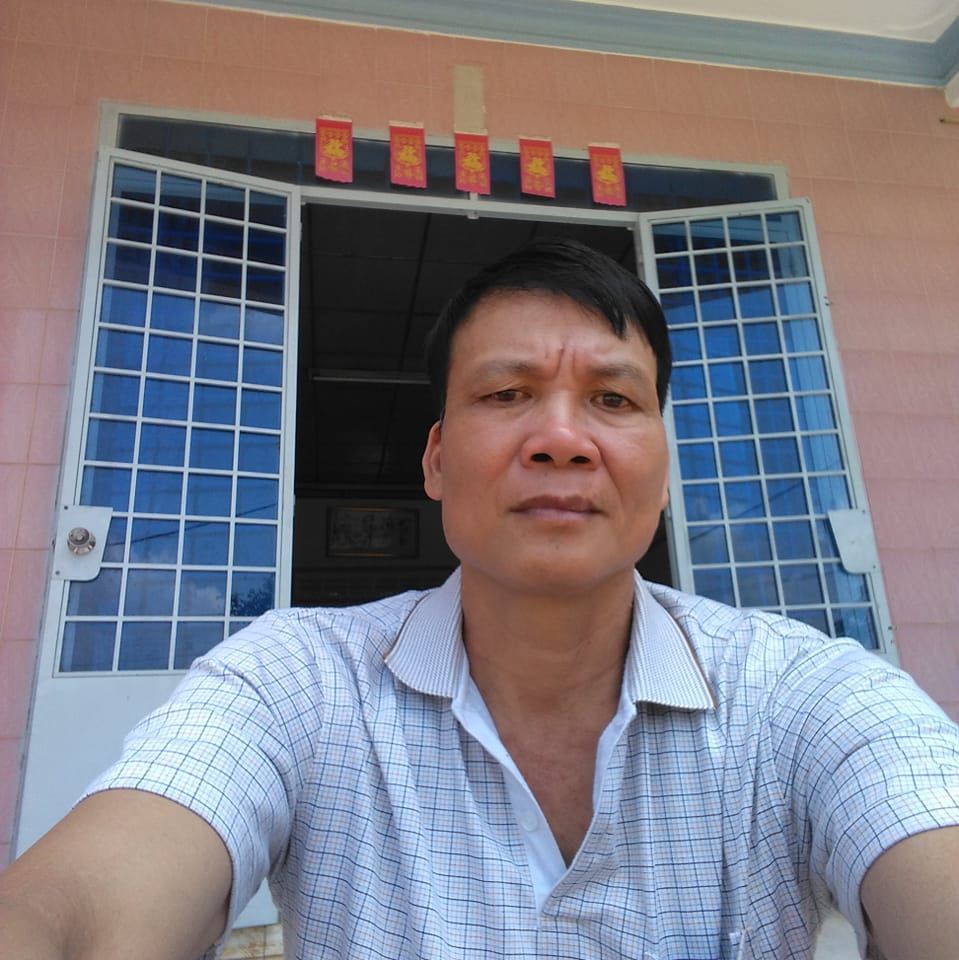 Phát hiện con rắn hổ trâu đang ngụy trang để săn mồi trên thân cây ...