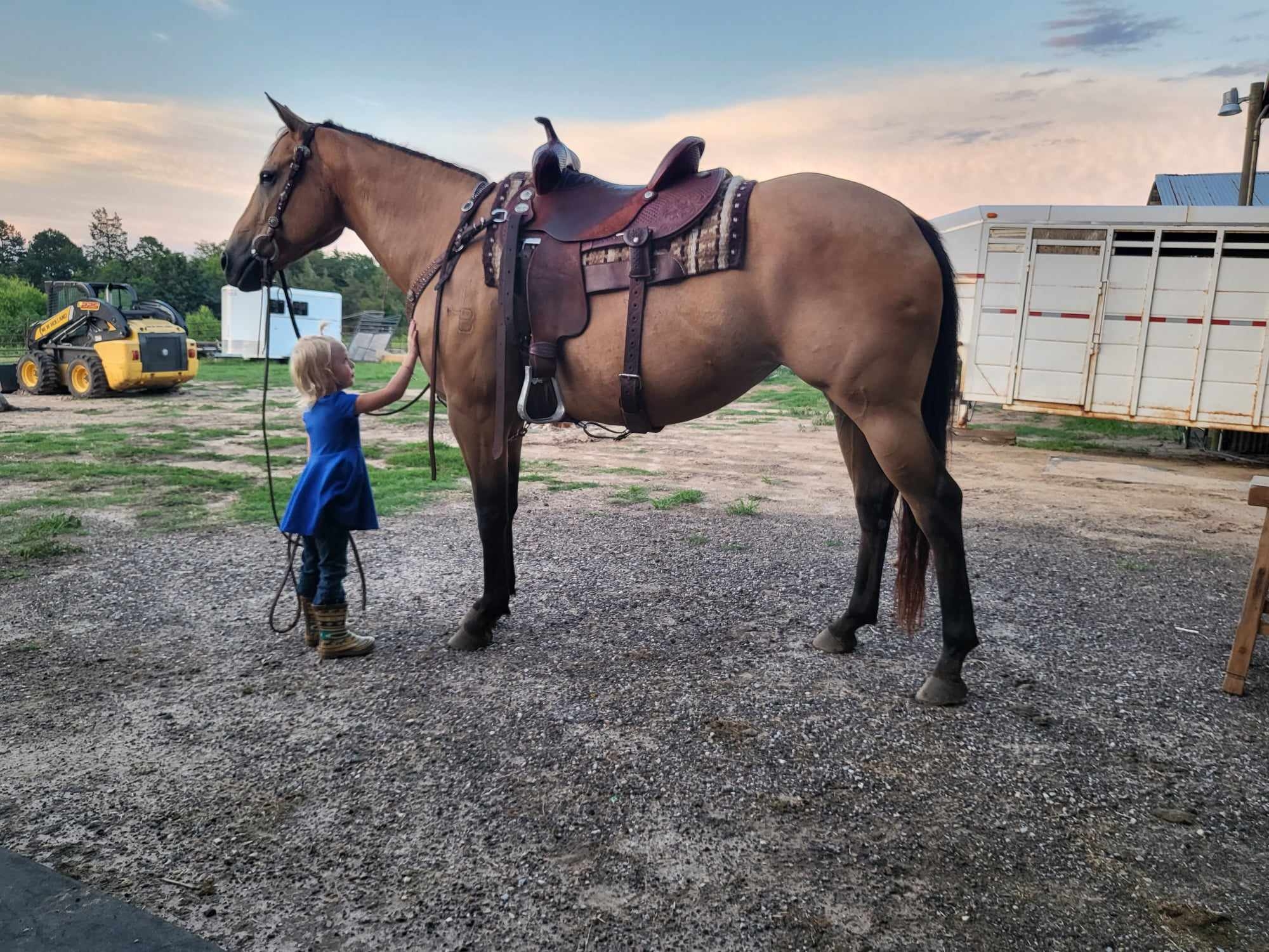 JB Ranch & Custom Saddlery | Mount Pleasant TX