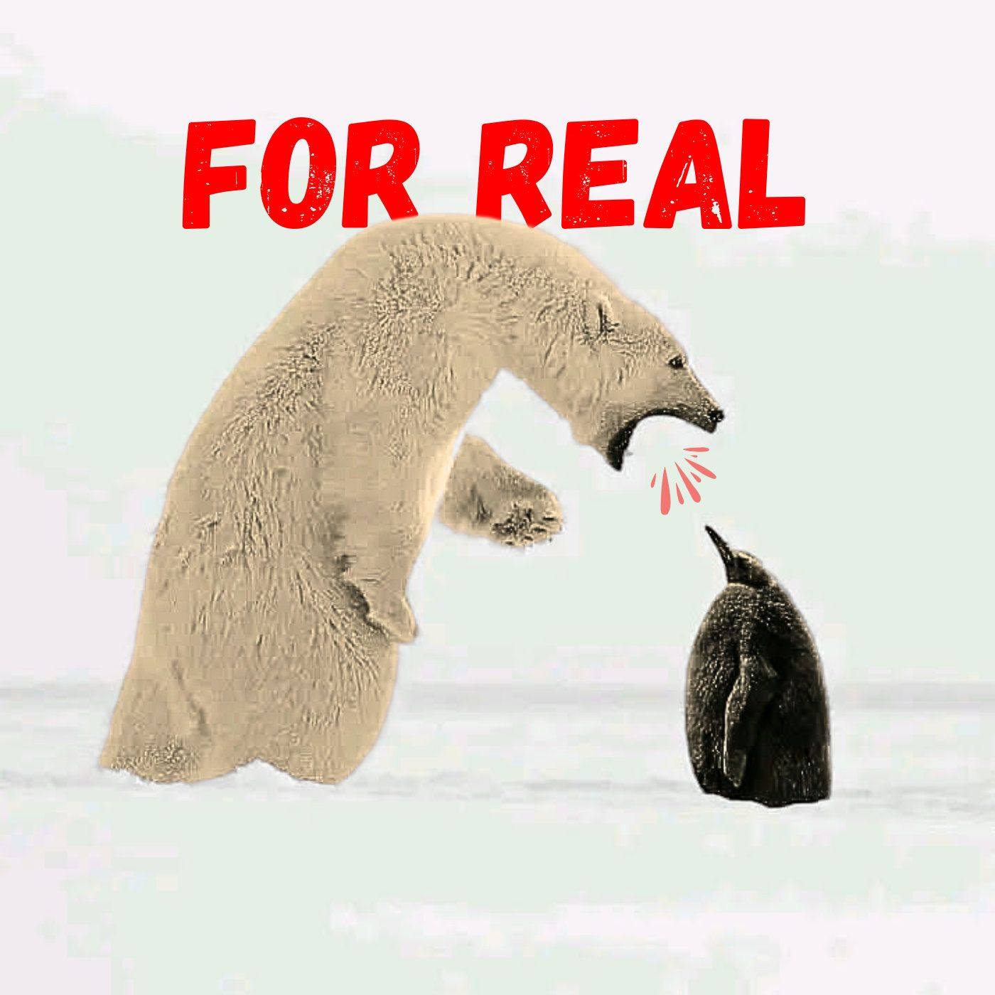 real pics Feed amazing