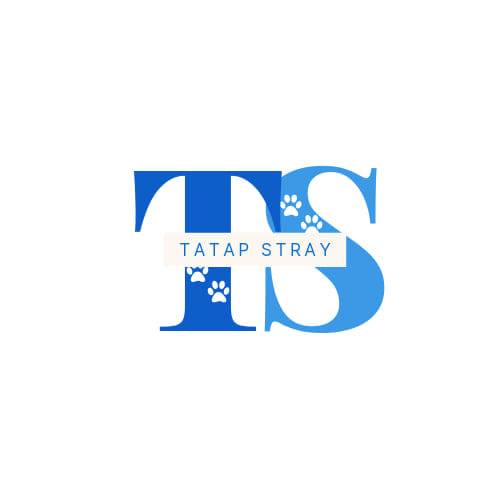 Tatap Stray | Iloilo City