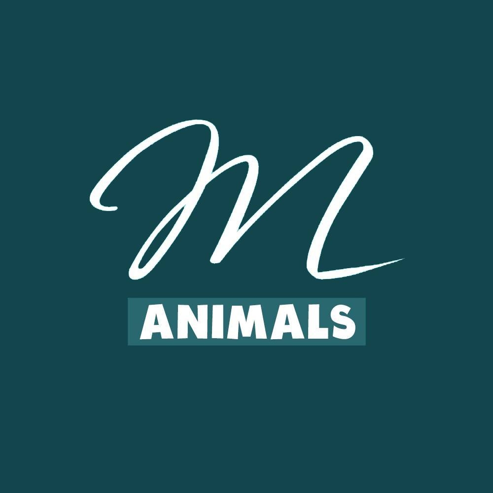 Mind Animals - My daughter came home from her first payday... | Facebook