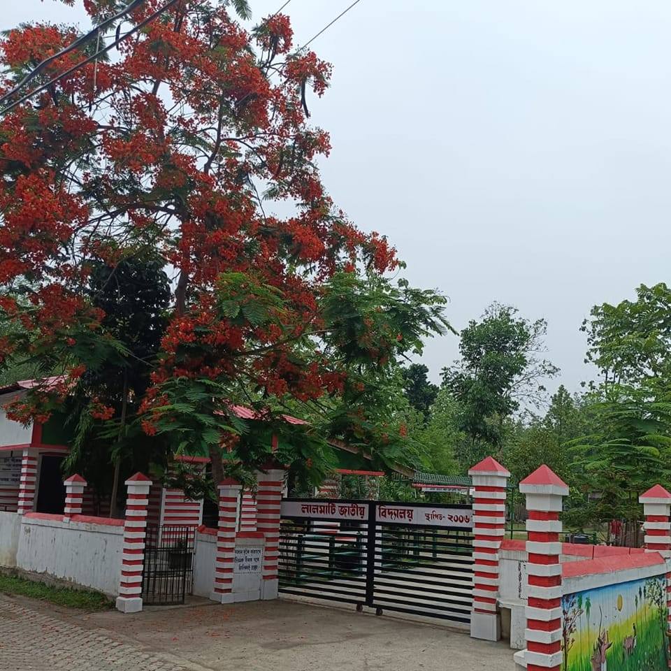 Majidur Islam
