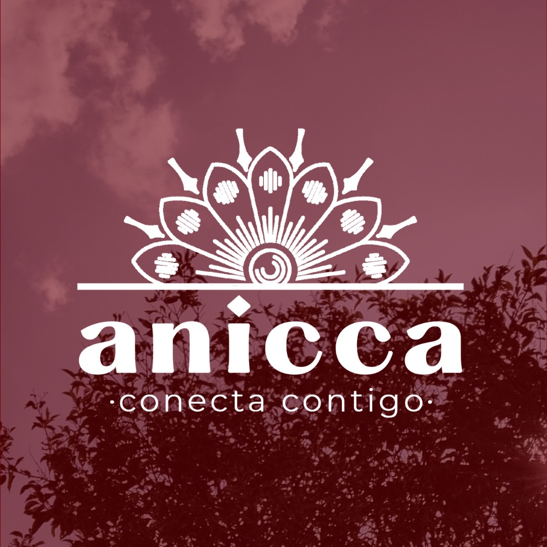 Anicca • conecta contigo • | Toluca