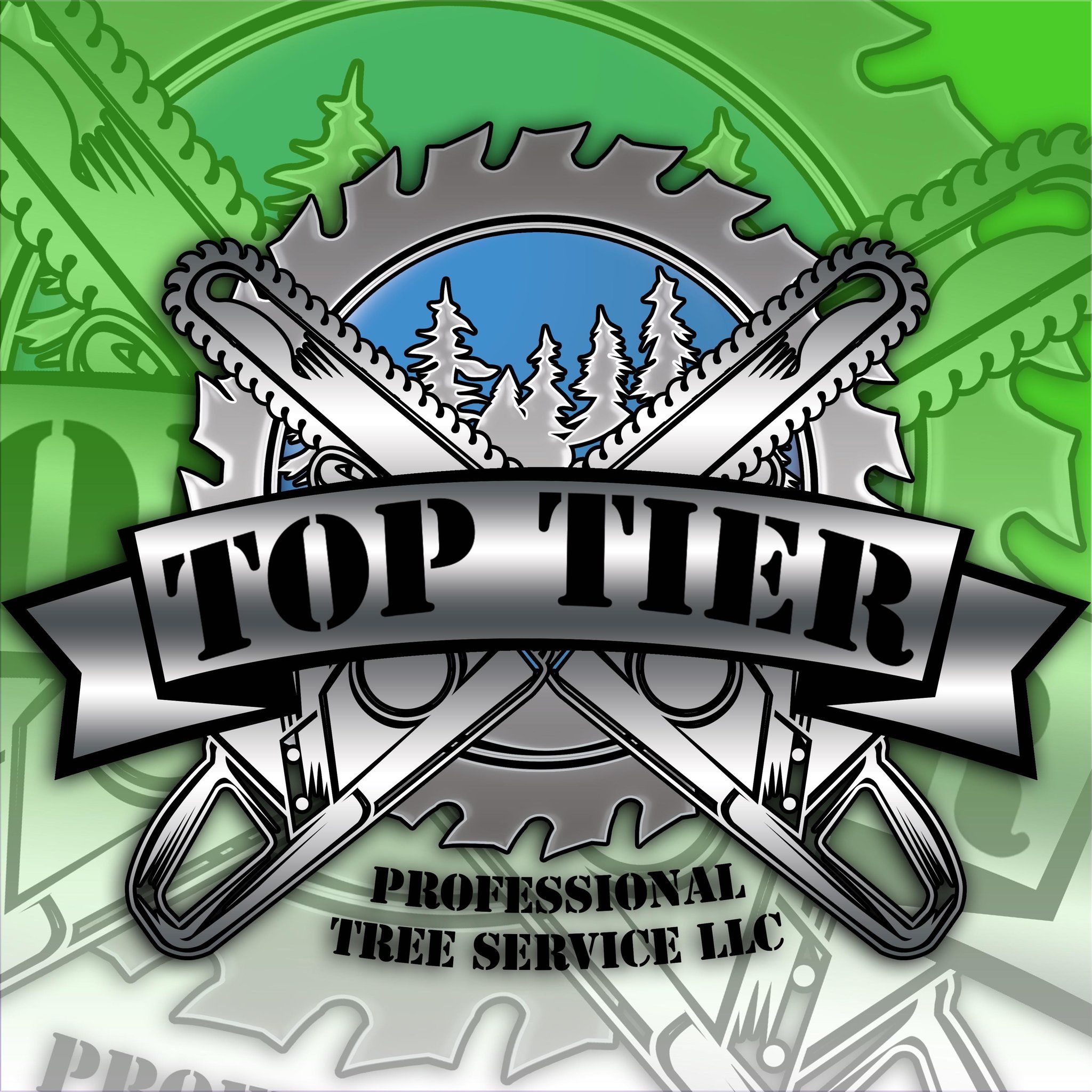Top Tier Professional Tree Service LLC | Battle Creek MI
