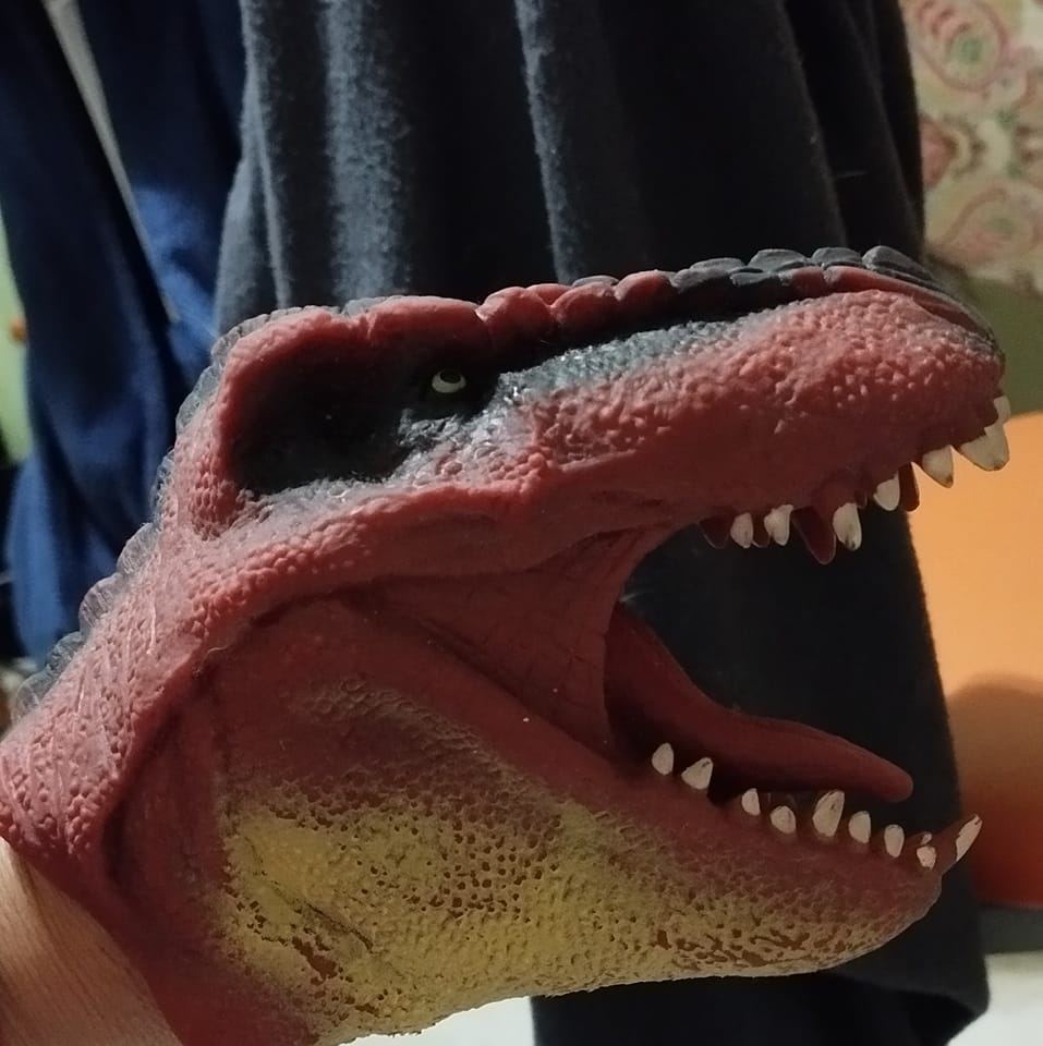 Rex y coco