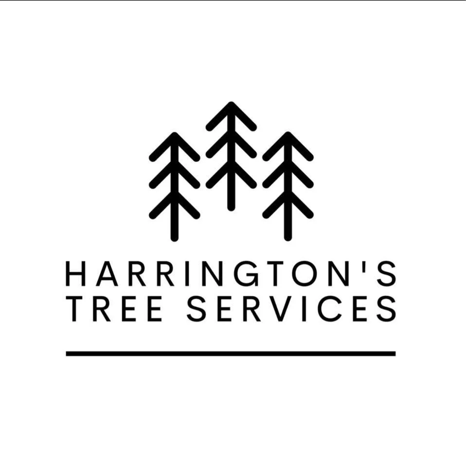 Harringtons Tree Services | Melbourne VIC