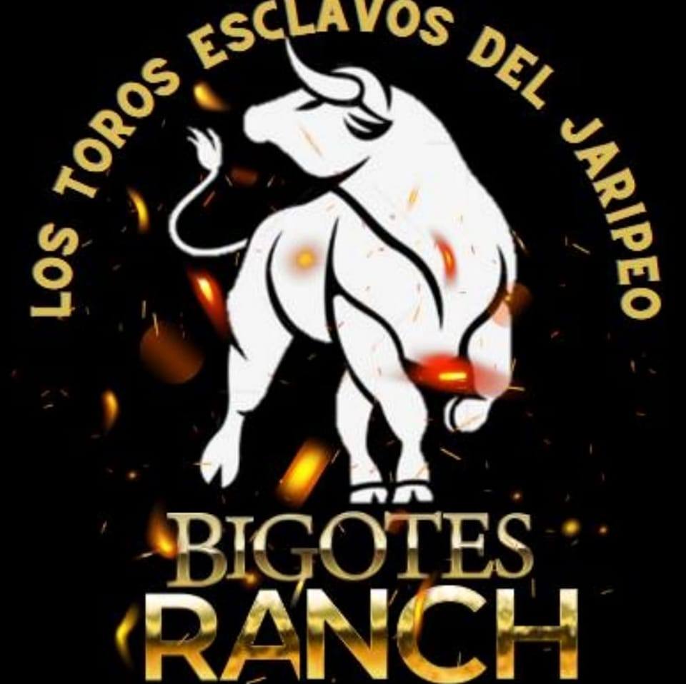 Bigotes Ranch