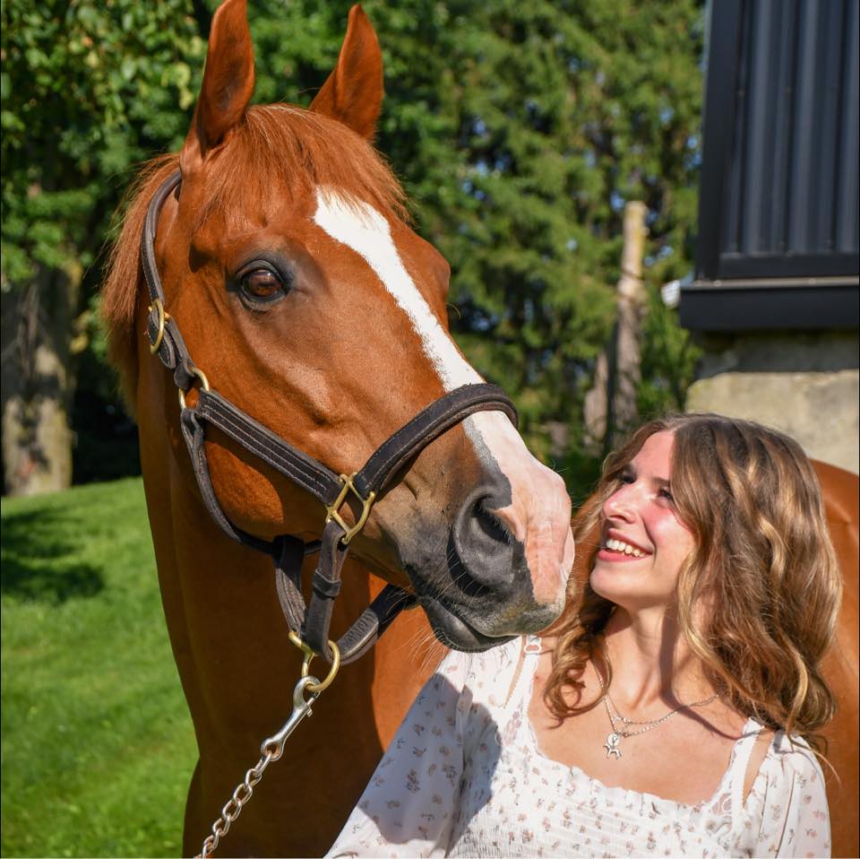 Equine Waterloo: Anything to do with Horses in Waterloo Region ...