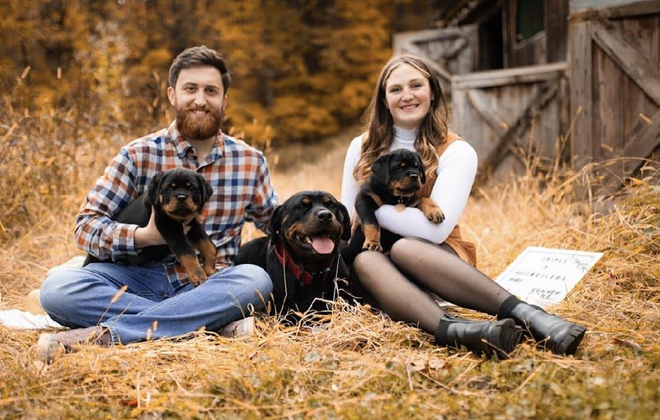 Triple R Rottweilers | Belchertown MA