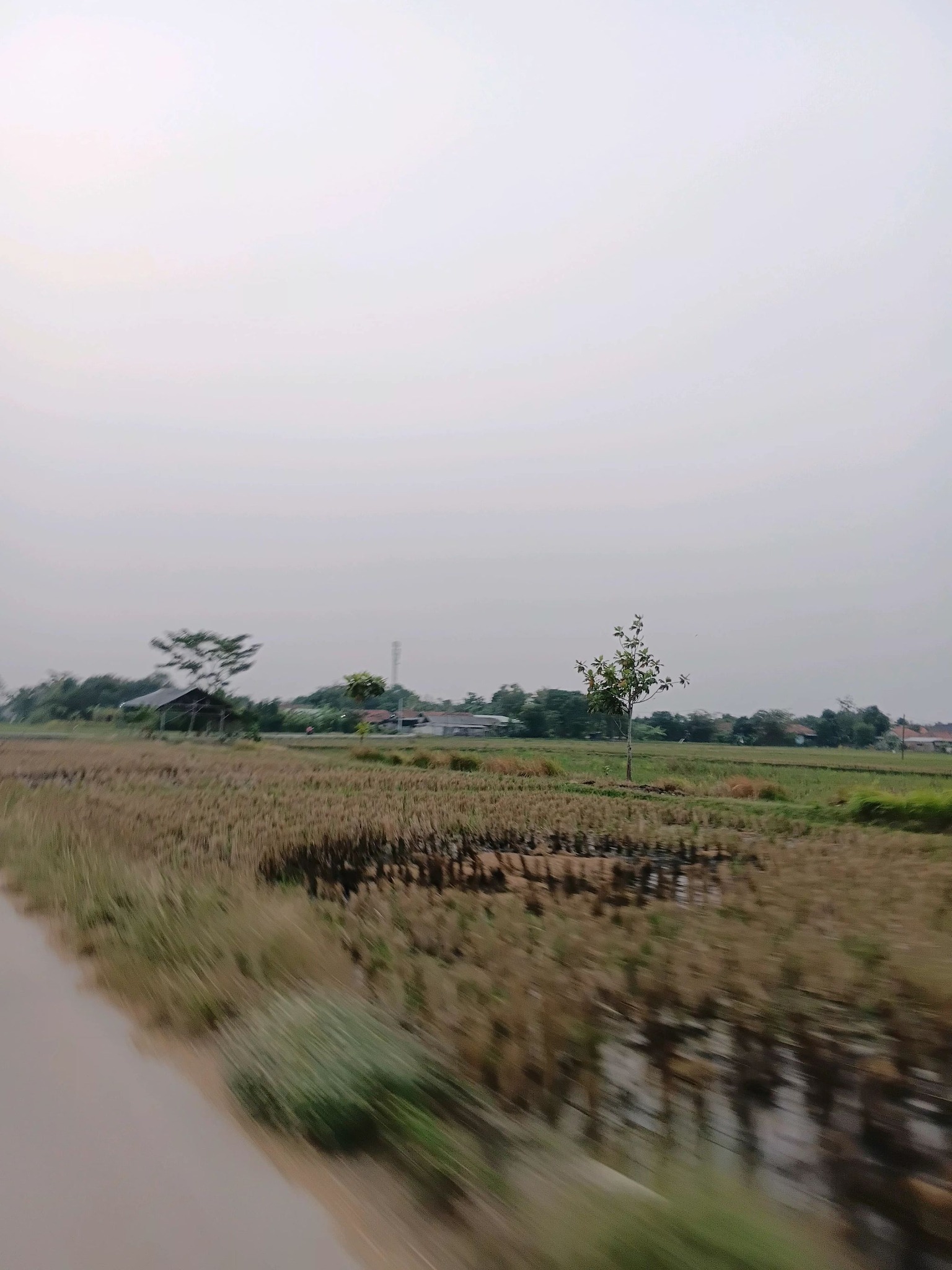 Jadi apa cocok sekarang cod langsung | Facebook