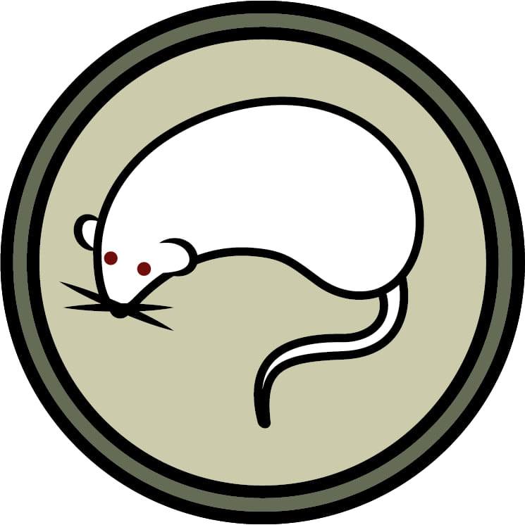 Rattery Wiggles | Groningen