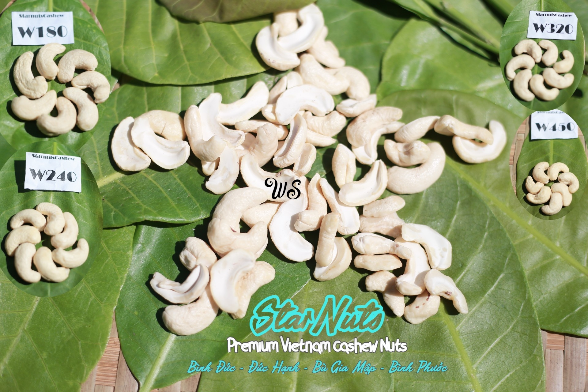 Hạt Điều StarNuts | Binh Phuoc