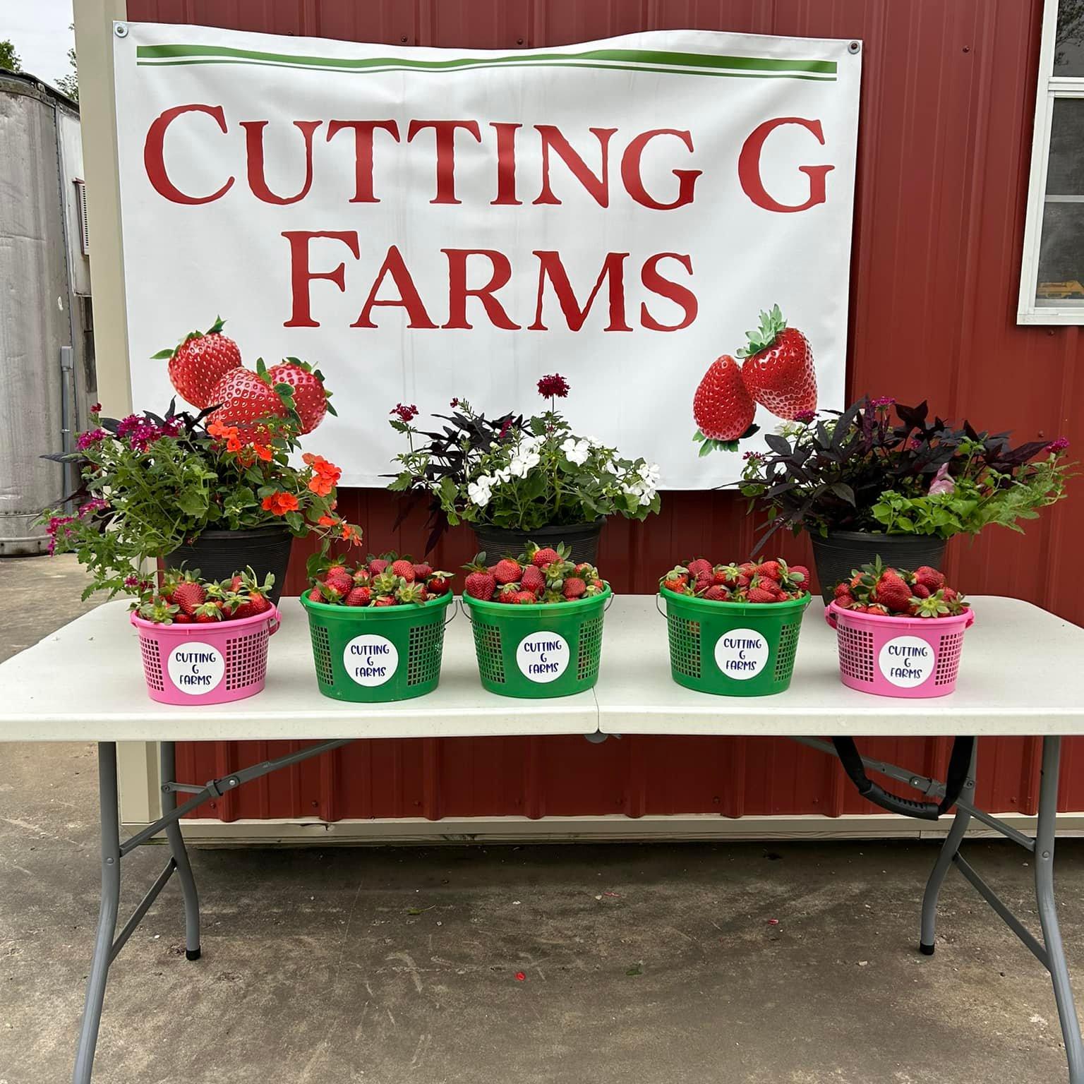 Cutting G Farms | Cleveland AL