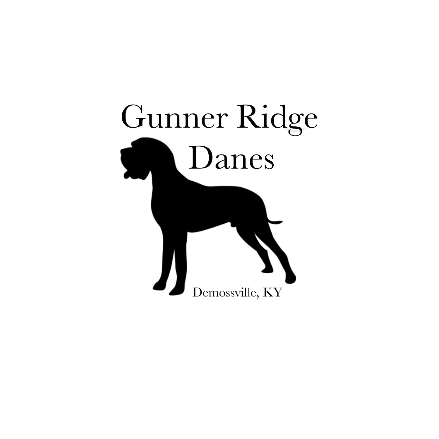 Gunner Ridge Danes | DeMossville KY