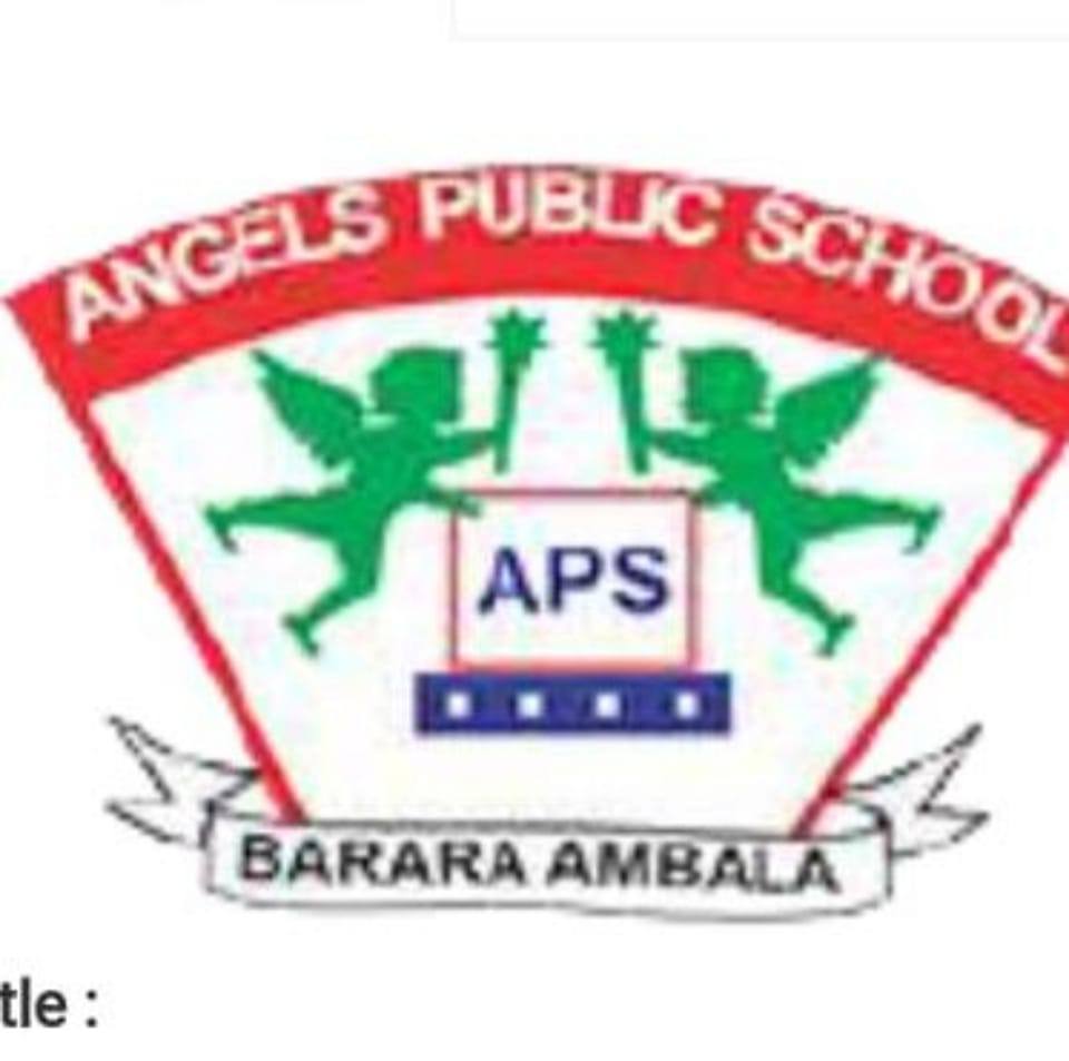 Angels Public School Barara Ambala