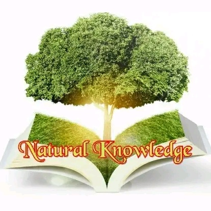 Natural Knowledge