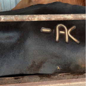 AK Smith Ranches
