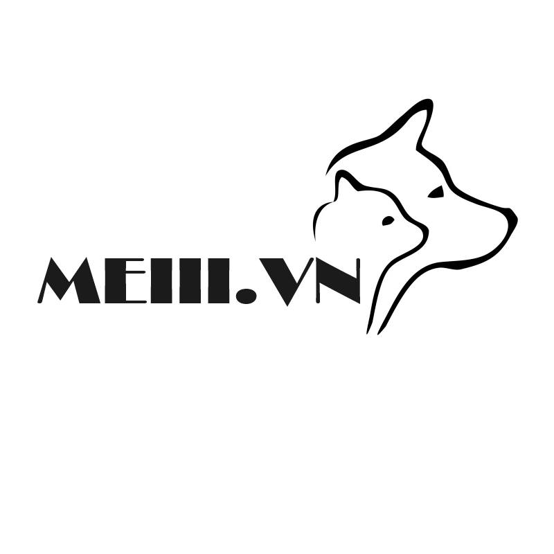 Meiiivn Hanoi