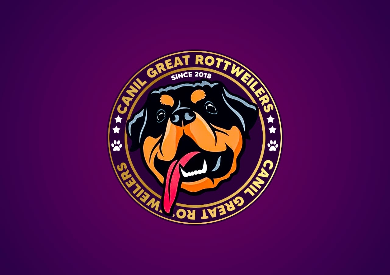 Canil Great Rottweilers | Luanda