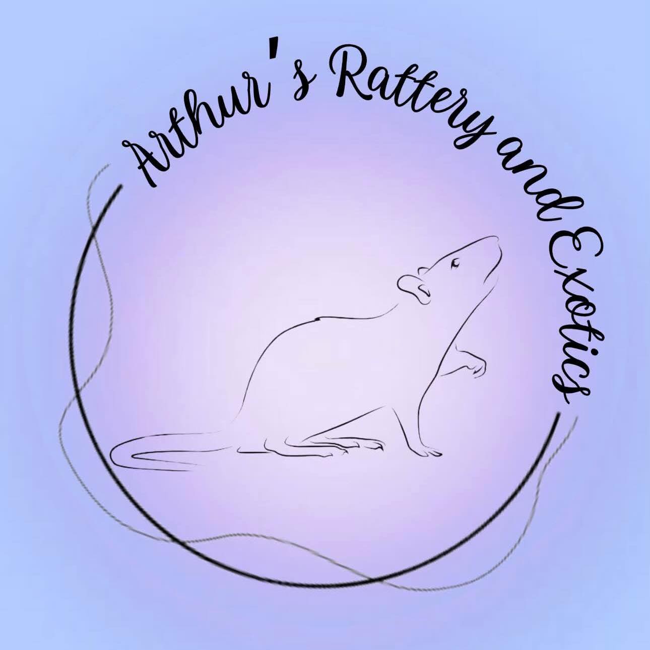 Arthur’s Rattery and exotics | Sumter SC