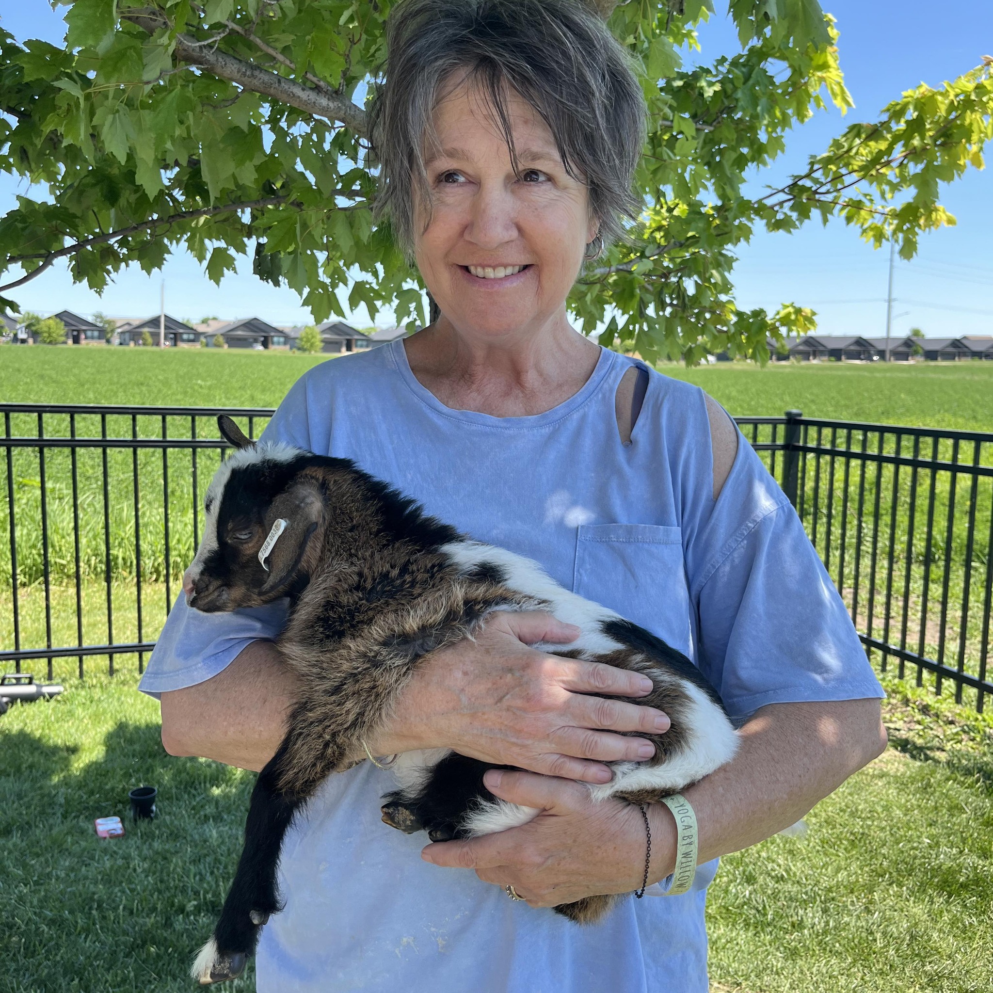 Ruby's Rescue & Retreat, NFP., McLean IL | Lots of folks commented ...