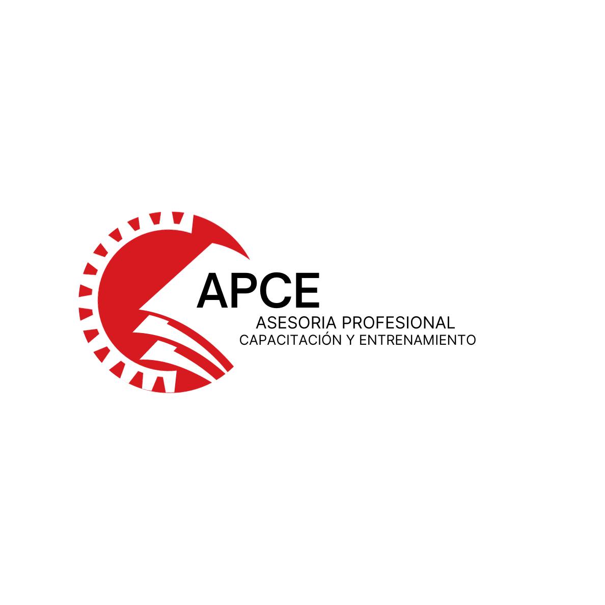 APCE Asesoria Profesional Capacitacion Y Entrenamiento | Chambo