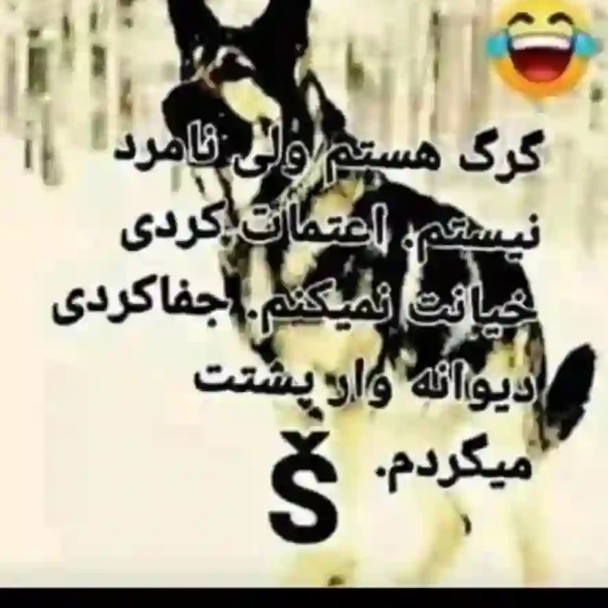 شهزاده گگ مزاری