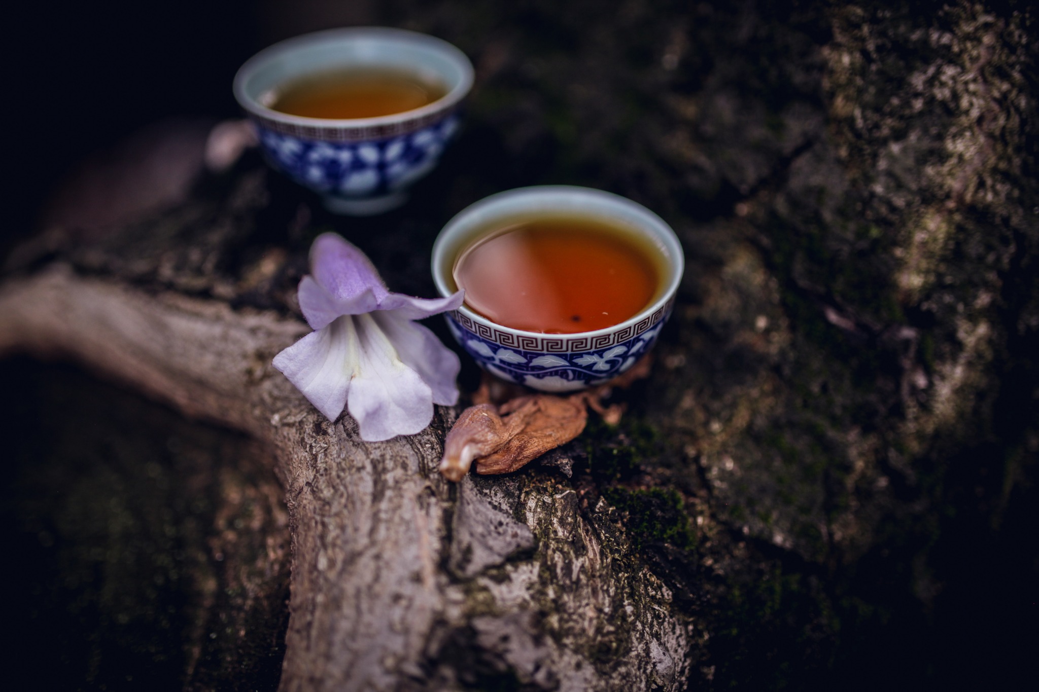 Tea Element | Varna