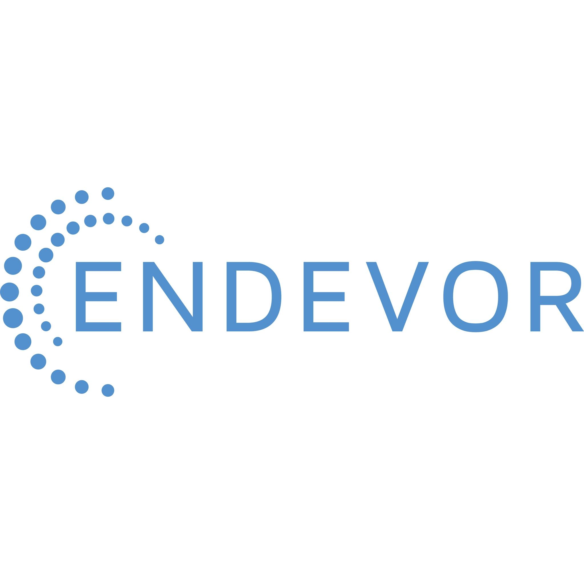 Endevor Payment Systems | Savannah GA