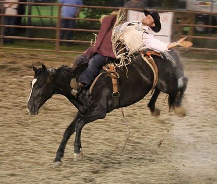 Hamilton Rodeo