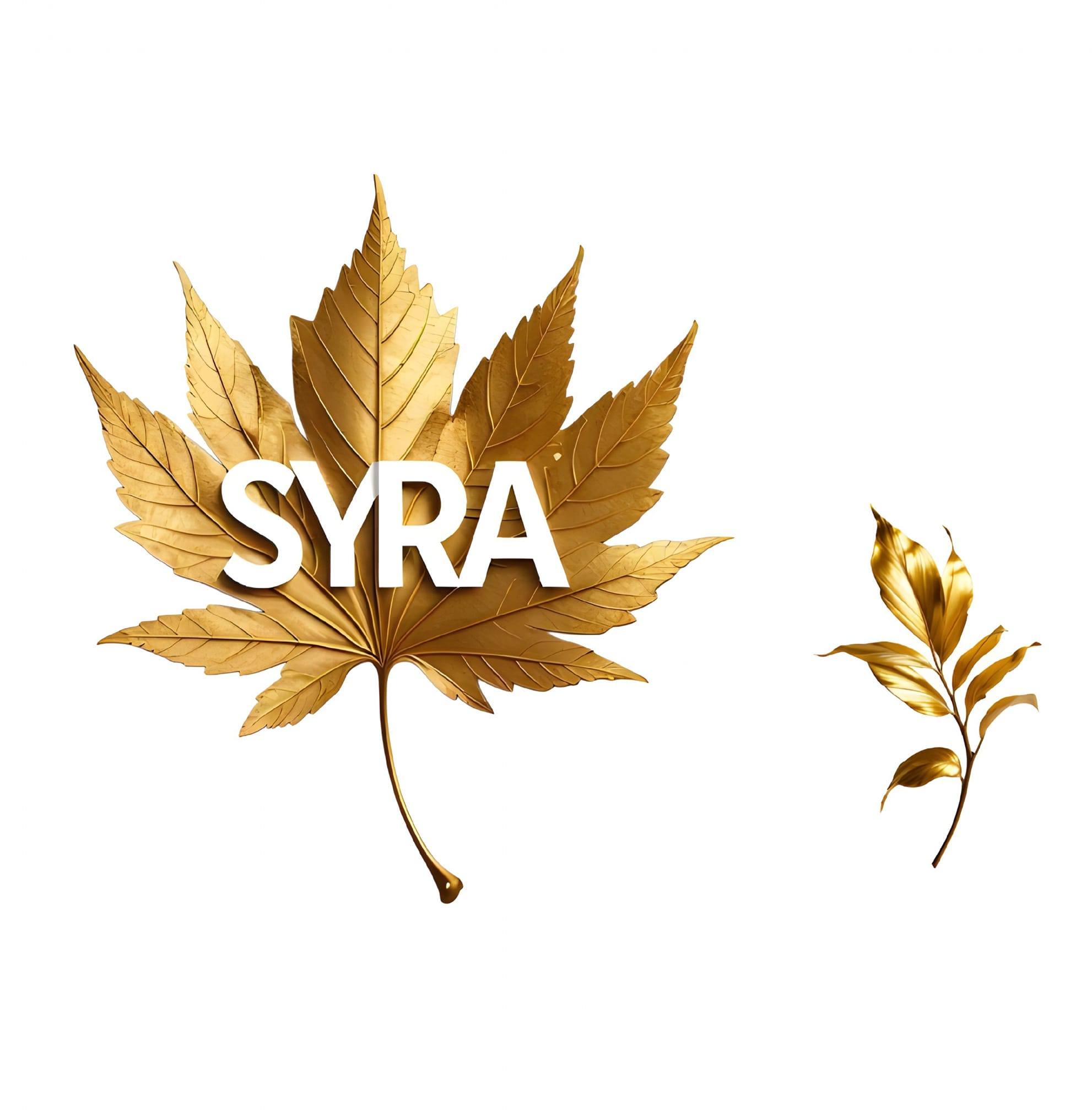 SYRA | Faisalabad