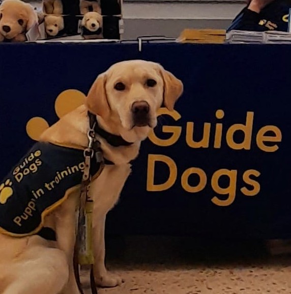 Guide Dogs - Sunderland and South Shields | Sunderland