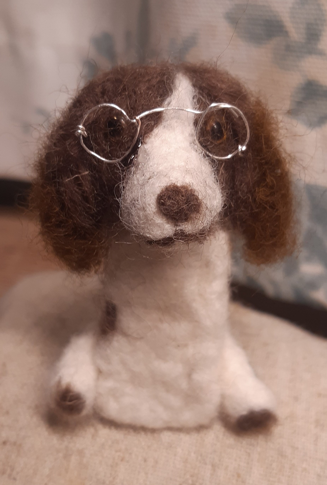 Professor Daniel Springer-Spaniel | Cheltenham