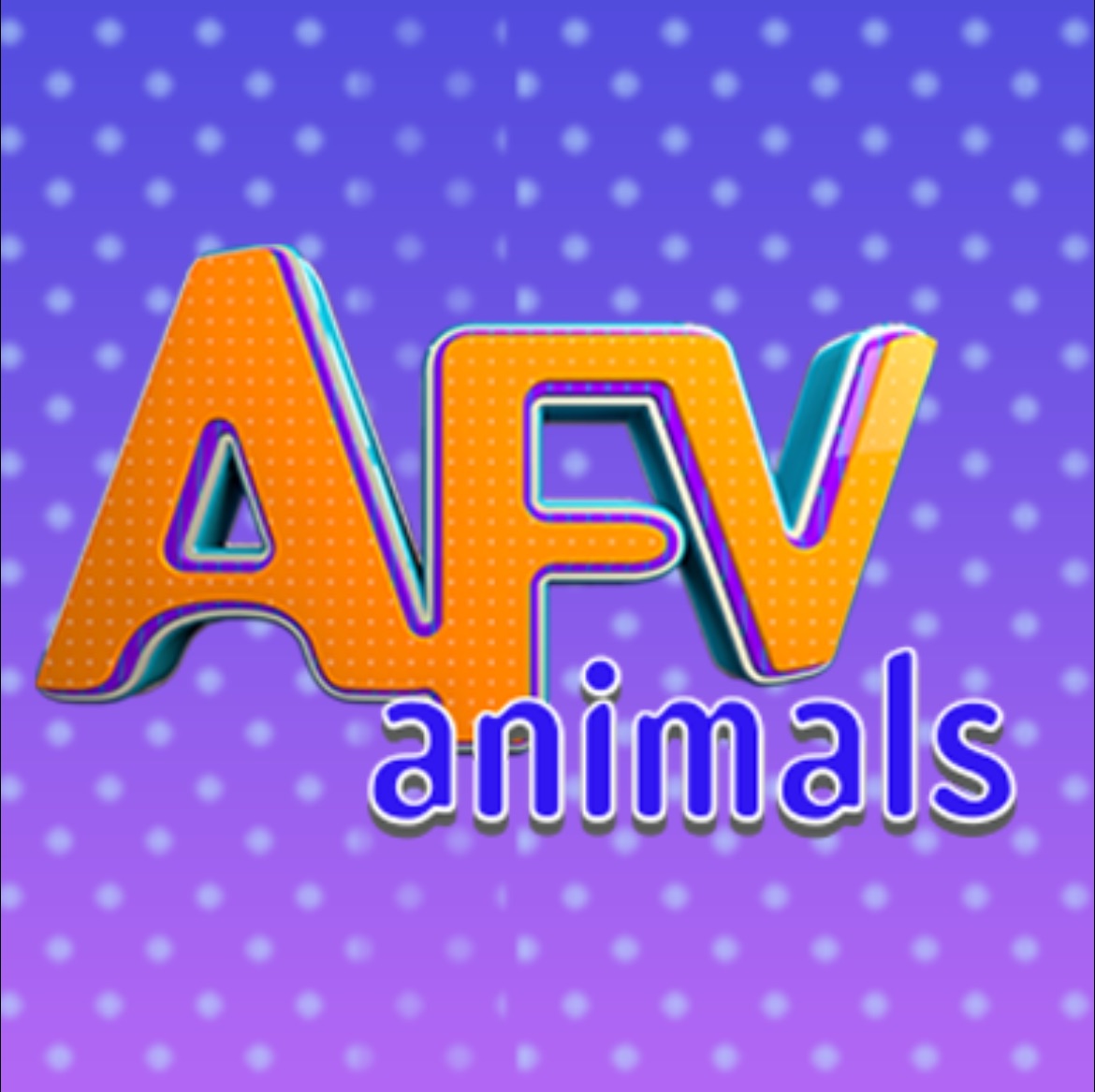 America’s Funniest Animals
