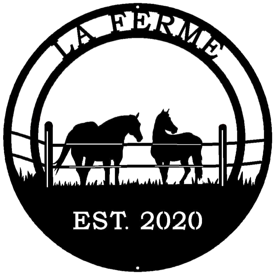 Horses In Fl | Whiskey 8yr old Appendix Mare | Facebook